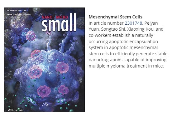 135334_437055_gsdt.png 135334_437055_gsdt.png