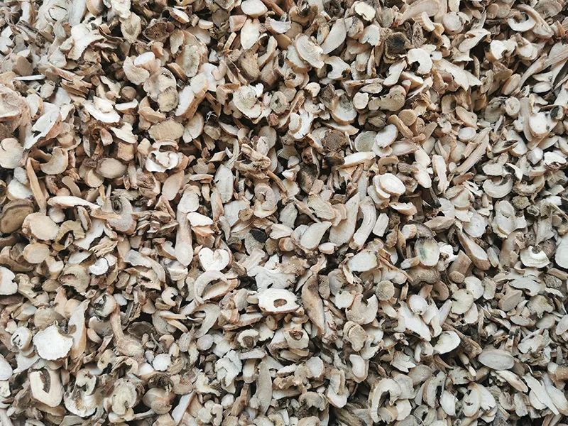 084949_563139_gsdt.jpg 084949_563139_gsdt.jpg