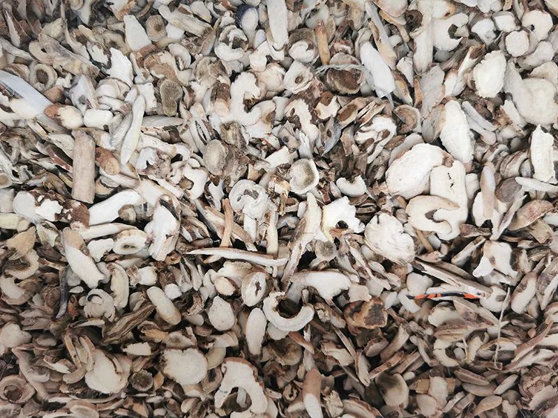 085044_719253_gsdt.jpg 085044_719253_gsdt.jpg