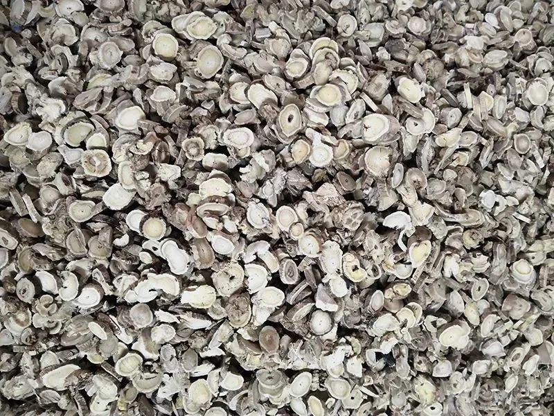 085403_418138_gsdt.jpg 085403_418138_gsdt.jpg