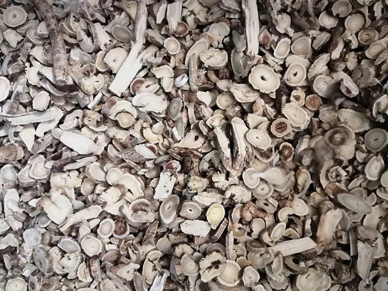 085440_937495_gsdt.jpg 085440_937495_gsdt.jpg