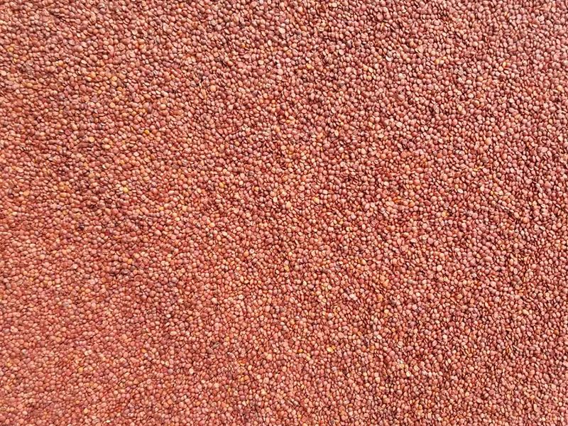 085520_308451_gsdt.jpg 085520_308451_gsdt.jpg