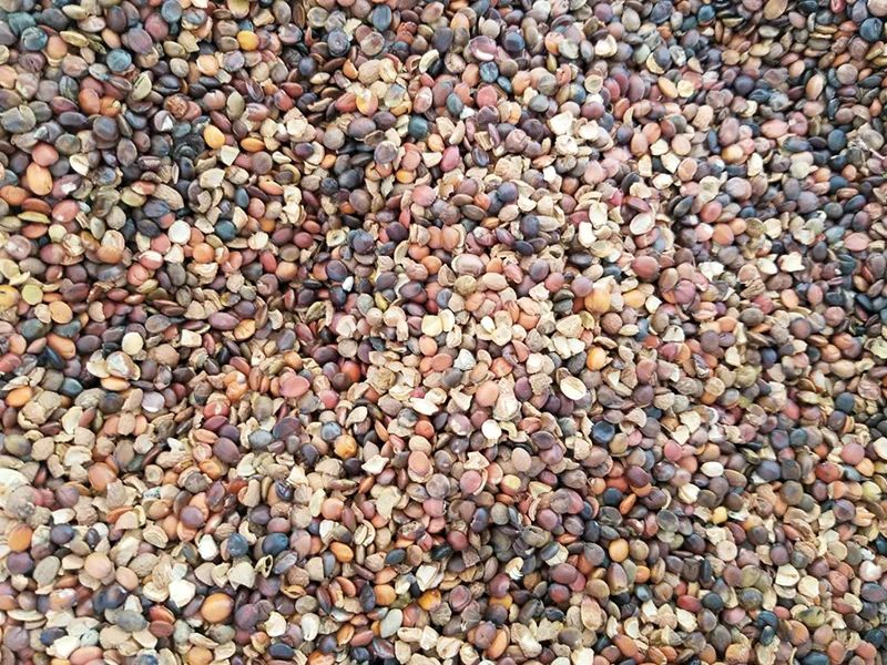 085537_819819_gsdt.jpg 085537_819819_gsdt.jpg