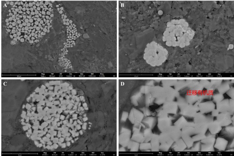 120027_285255_gsdt.png 氩离子抛?png