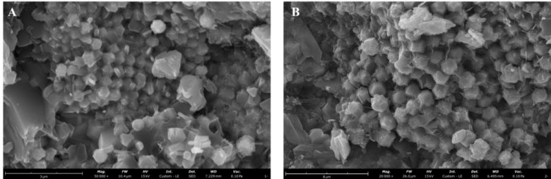 120054_887177_gsdt.png 5.png