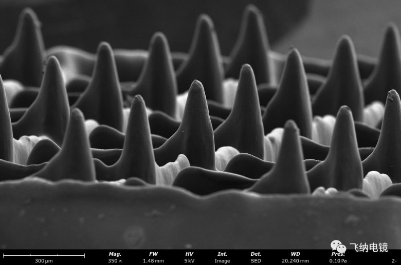 131738_984957_gsdt.png 6.png