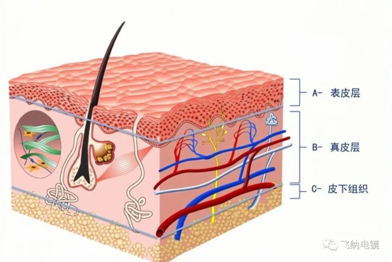 131831_420998_gsdt.jpg 3.jpg