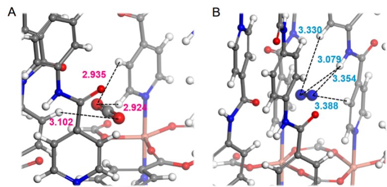 114938_772798_jswz.png 114938_772798_jswz.png