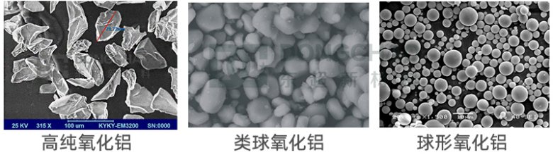 160656_579763_gsdt.jpg 252.jpg