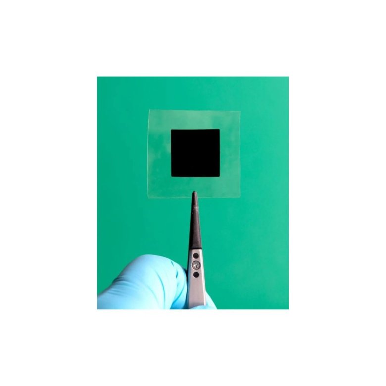 101827_930812_gsdt.jpg 101827_930812_gsdt.jpg