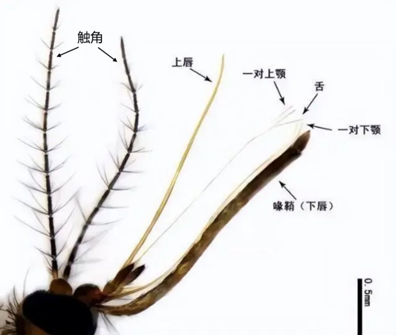 104725_103495_jswz.png 104725_103495_jswz.png