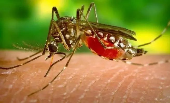 104811_386156_jswz.jpg 104811_386156_jswz.jpg