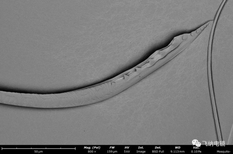 104832_405554_jswz.jpg 104832_405554_jswz.jpg