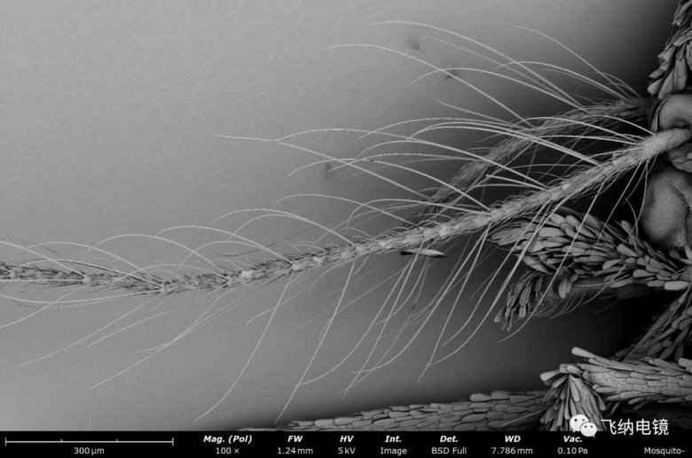 105003_702902_jswz.jpg 105003_702902_jswz.jpg