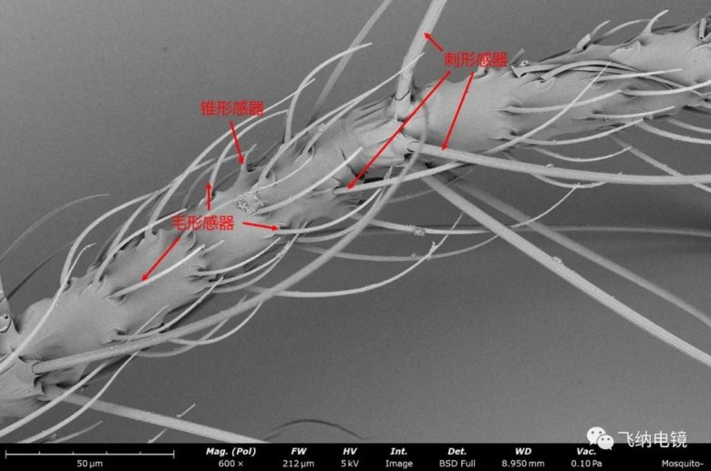 105032_169975_jswz.jpg 105032_169975_jswz.jpg