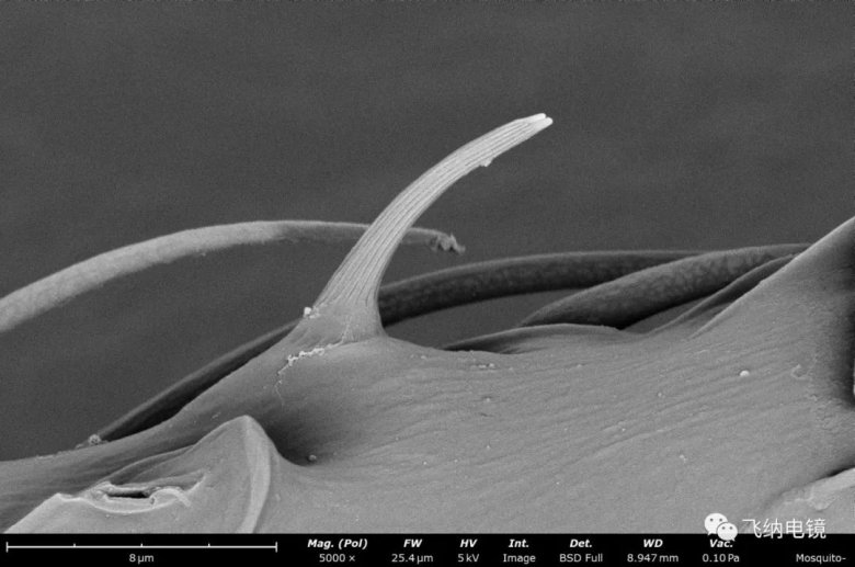 105153_978744_jswz.jpg 105153_978744_jswz.jpg