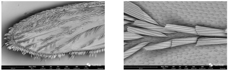 105215_556052_jswz.png 105215_556052_jswz.png