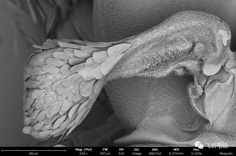 105311_070171_jswz.jpg 105311_070171_jswz.jpg