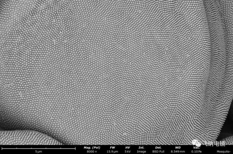 105404_351776_jswz.jpg 105404_351776_jswz.jpg