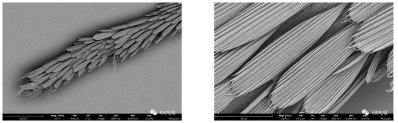 105422_024271_jswz.png 105422_024271_jswz.png