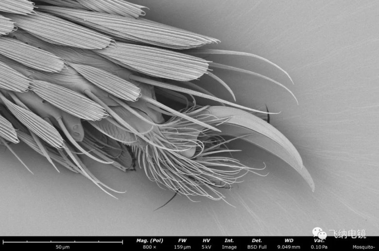 105439_913940_jswz.jpg 105439_913940_jswz.jpg