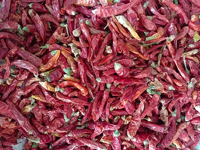 170901_749863_gsdt.jpg 170901_749863_gsdt.jpg