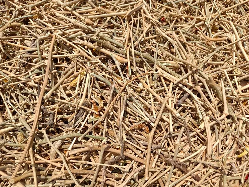 170913_400588_gsdt.jpg 170913_400588_gsdt.jpg