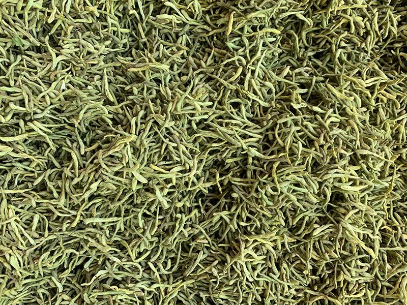 171512_242632_gsdt.jpg 171512_242632_gsdt.jpg