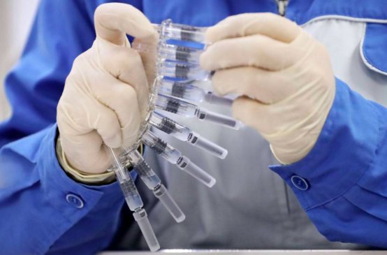 135135_872067_gsdt.png image.png