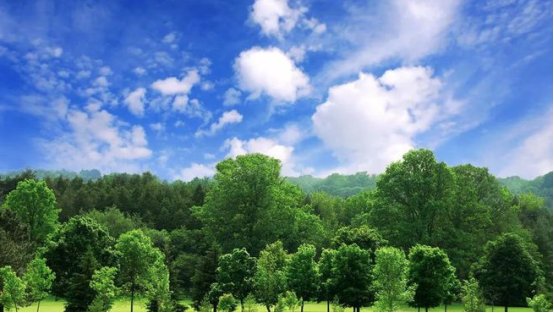 135144_046068_gsdt.png image.png