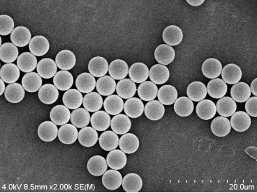 085134_106417_gsdt.png image.png