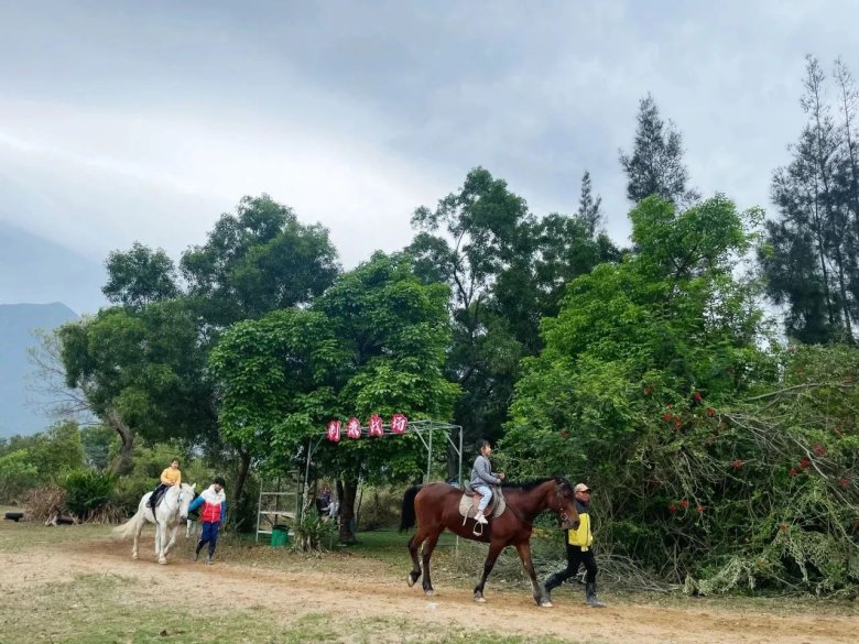 161514_271872_gsdt.jpg 161514_271872_gsdt.jpg