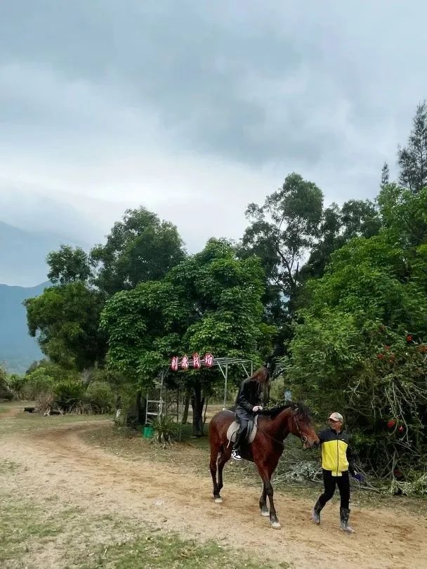 161514_373398_gsdt.jpg 161514_373398_gsdt.jpg