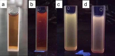 101947_511051_gsdt.jpg 微信图片_20240312101349.jpg