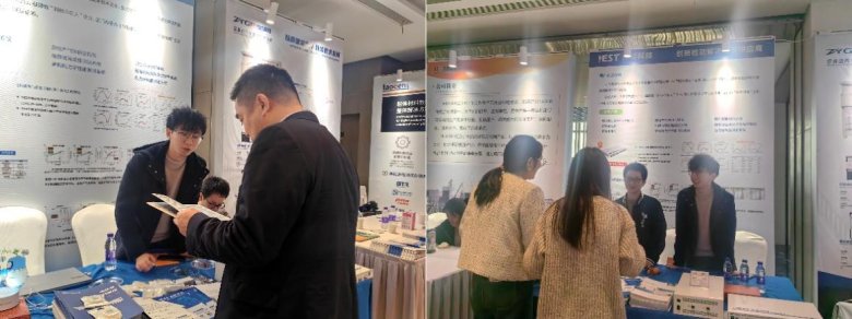 165545_955068_gsdt.jpg 2.jpg