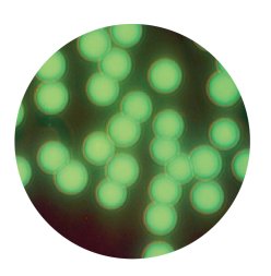 085726_643143_gsdt.png image.png