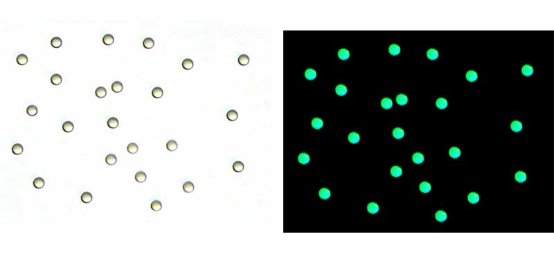 085733_135757_gsdt.png image.png