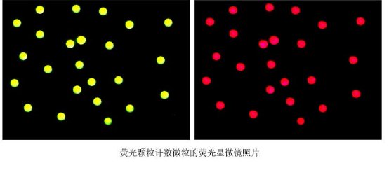 085741_551372_gsdt.png image.png