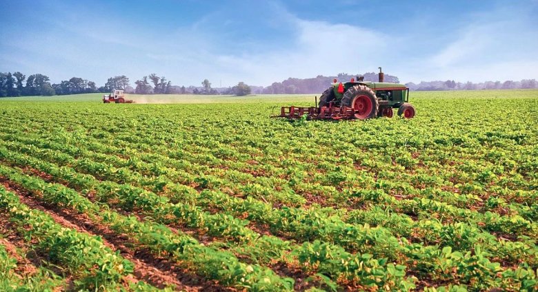 082325_044585_gsdt.jpg 082325_044585_gsdt.jpg