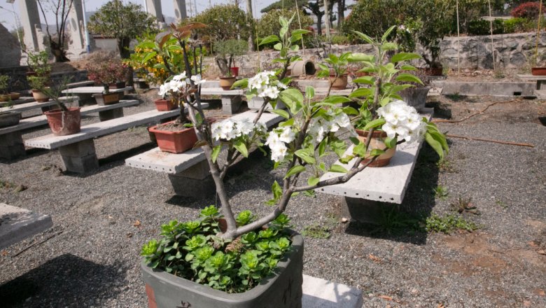 131714_155528_gsdt.png 131714_155528_gsdt.png