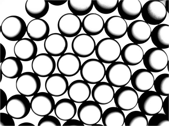 134829_316666_gsdt.jpg 图片4.jpg