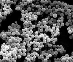 152336_030275_gsdt.png image.png