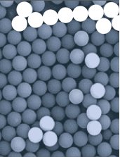 152351_987093_gsdt.png image.png