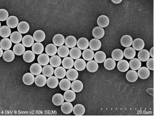 152404_639109_gsdt.png image.png