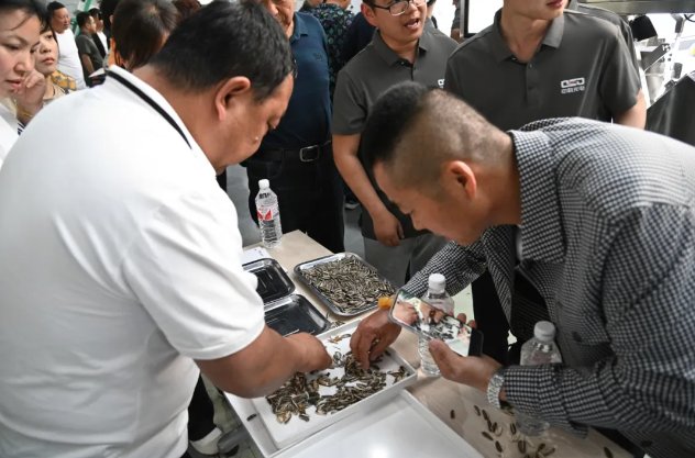 084646_508517_gsdt.png 084646_508517_gsdt.png