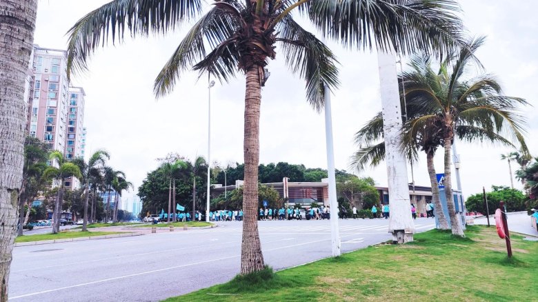 165958_624628_gsdt.jpg 165958_624628_gsdt.jpg