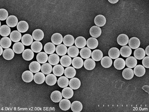 090815_489210_gsdt.png image.png