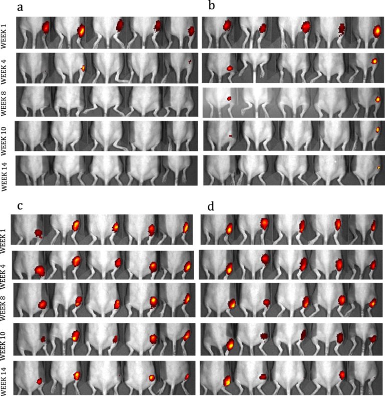 133221_332932_gsdt.png 14.png