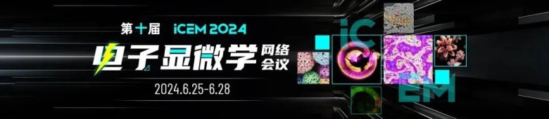 081445_546456_gsdt.jpg 081445_546456_gsdt.jpg