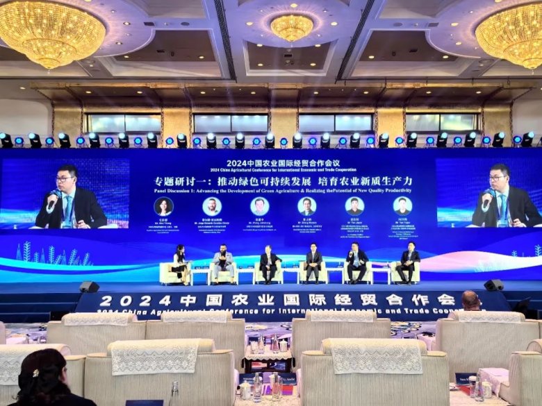 081806_829785_gsdt.jpg 081806_829785_gsdt.jpg